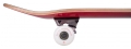 Rocket-double-dipped-skateboard-deskorolka-7 (2).jpg