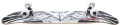 birdhouse-stage-1-falcon-deskorolka-skateboard-7 (2).jpg
