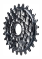 stolen-lunar-bmx-zębatka-kettenblatt-sprocket-chainring-25T-black (3).jpg
