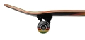 birdhouse-stage-3-skateboard-deskorolka-7-75-tony-hawk-sunset-rasta (4).webp