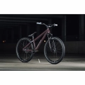 ns-bikes-movement-1-24-godziek-dirt-jump-rower-fahrrad-rad-kolo-bike-chameleon (5).webp