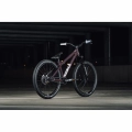 ns-bikes-movement-1-24-godziek-dirt-jump-rower-fahrrad-rad-kolo-bike-chameleon (6).webp