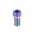 ethic-titanium-m8-sruba-zacisku-bolt-schraube-klemme-screw-clamp-rainbow (2).webp