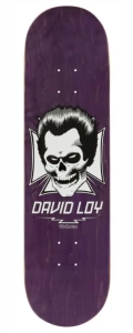 Birdhouse Dixon Skull skateboard deck 8.5" | Grey (1) (1) (1)