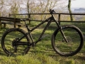 dartmoor-hornet-27-29-mtb-enduro-rower-fahrrad-rad-kolo-bike-black-graphite (10).webp