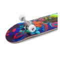 enuff-lost-at-sea-deskorolka-skateboard-goldfish (8).webp