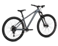 ns-bike-eccentric-lite-2-29-mtb-rower-fahrrad-rad-kolo-bike-graphite (19).webp