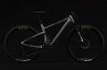ns-bike-synonym-rc2-29-mtb-trail-rower-fahrrad-rad-kolo-bike-grey (12).webp