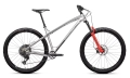 dartmoor-primal-evo-29-mtb-rower-rad-fahrrad-kolo-silver-brushed (1).webp