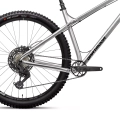 dartmoor-primal-evo-29-mtb-rower-rad-fahrrad-kolo-silver-brushed (3).webp