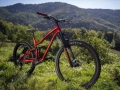dartmoor-rockbird-trail-evo-27-29-mtb-full-rower-fahrrad-rad-kolo-bike-red-devil (6).webp