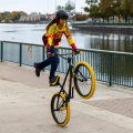 rower-wheelie-dziecka-se-bikes-so-cal-flyer-24-fahrrad-rad (2).webp