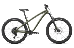 Dartmoor Primal Pro 29" kolo MTB | Silver Brushed (1)