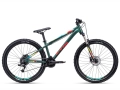 CTM Raptor 2.0 rower MTB Dirt Street rad bike fahrrad 2020-min.jpg